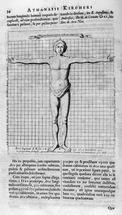 人の割合、1675 作： Athanasius Kircher