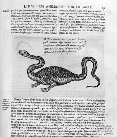 小さなドラゴン、1678 作： Athanasius Kircher
