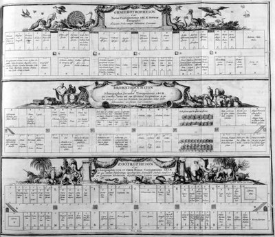 種の表、1765年。 作： Athanasius Kircher