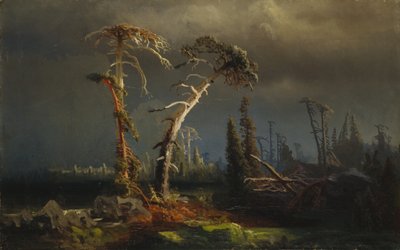 ライジング・ストーム - 原始林が嵐の中で死ぬ (キャンバスに油彩) 作： August Cappelen