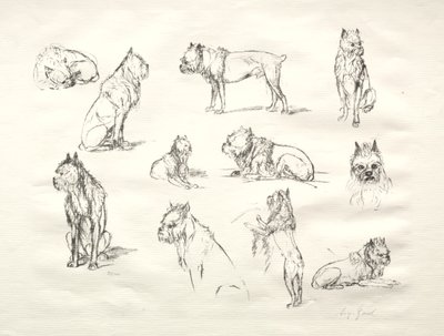 犬の研究 作： August Gaul