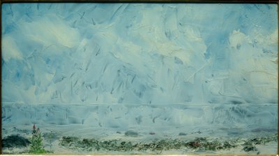 ビーチの花 作： August Johan Strindberg