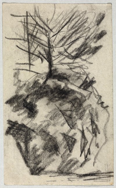 斜面の木 作： August Macke