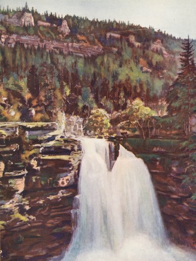 フランス：Le Saut Du Doubs（カラーリトグラフ） 作： Auguste Gerardin