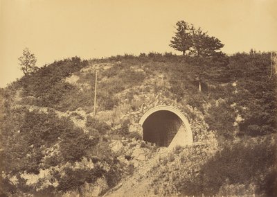 テット・デュ・ソウテルラン・ド・リブーレ、ラルブレスルとロザンヌの間 作： Auguste Hippolyte Collard