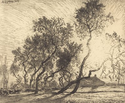 オランダのポプラ農場、1914 年。 作： Auguste Lepere