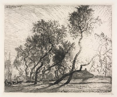 オランダのポプラの木のある農場 作： Auguste Louis Lepère