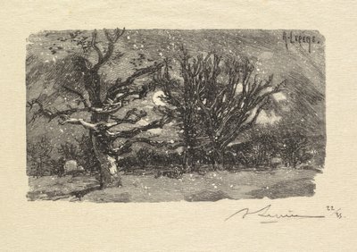 Fontainebleau Forest: Au dormoir de Lantara (ラ・フォーレ・ド・フォンテーヌブロー: Au dormoir de Lantara) 作： Auguste Louis Lepère