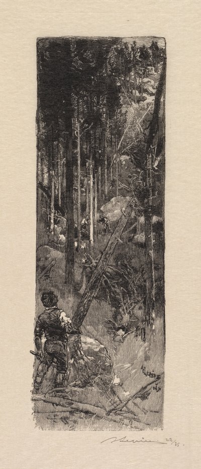 フォンテーヌブローの森：松の伐採ラフォルトドゥフォンテーヌブロー：アバタージュデパン、1890年。 作： Auguste Louis Lepère