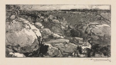 Fontainebleau Forest：The Cirque of Long-Rocher、1888。 作： Auguste Louis Lepère