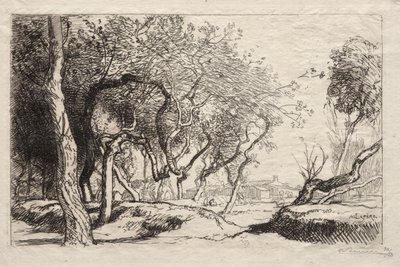 ねじれた木 作： Auguste Louis Lepère