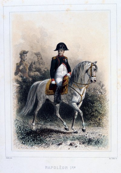ナポレオン1世、1859年。 作： Auguste Raffet