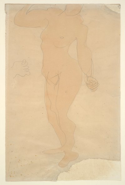 立ち裸（頭の一部が紙の端で切り取られている） 作： Auguste Rodin