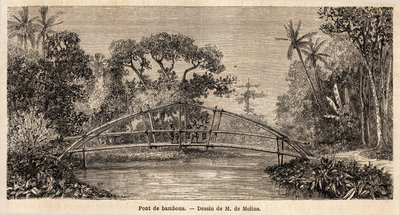 サラク山の近く、ジャングルの中の竹の橋。M.デ・モリンがジャワ島への旅を説明するために描いた絵 作： Auguste de Molins