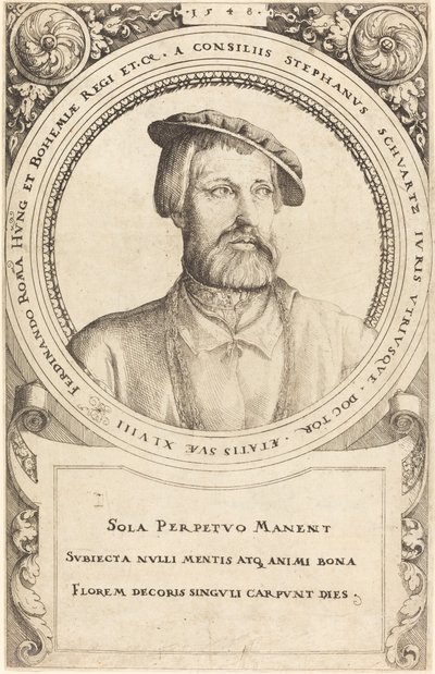 スティーブン・シュワルツ博士、1548年。 作： Augustin Hirschvogel