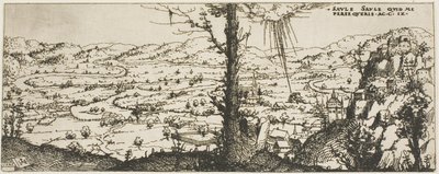 前景中央に木がある風景 作： Augustin Hirschvogel