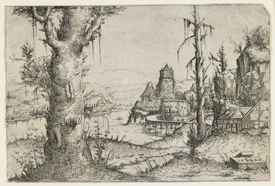 湖の上の大きな木と城 作： Augustin Hirschvogel
