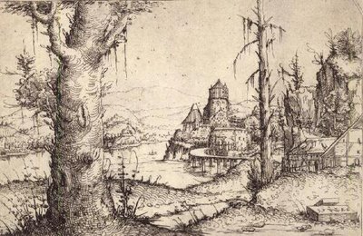 P.9-1993 太い木のある川の風景 作： Augustin Hirschvogel