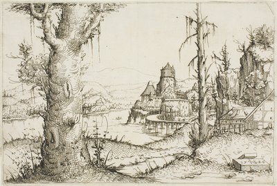 前景に大きな木がある川の風景 作： Augustin Hirschvogel