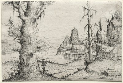 左に大きな木がある川の風景 作： Augustin Hirschvogel
