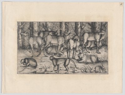 森の中の雄鹿、1545年。 作： Augustin Hirschvogel
