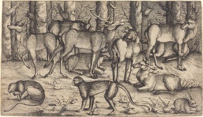 森の中の雄鹿、1545年。 作： Augustin Hirschvogel