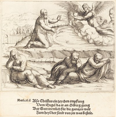 庭の苦しみ、1548年。 作： Augustin Hirschvogel