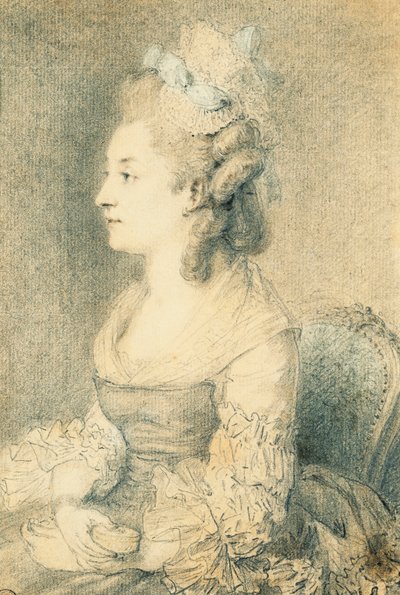 アーティストの妻の肖像 作： Augustin de Saint Aubin