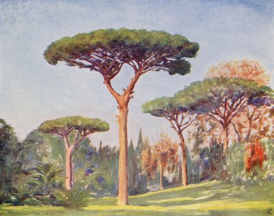ロックパインズ、ヴィラ・フロリディアーナ（カラーリトグラフ） 作： Augustine Fitzgerald