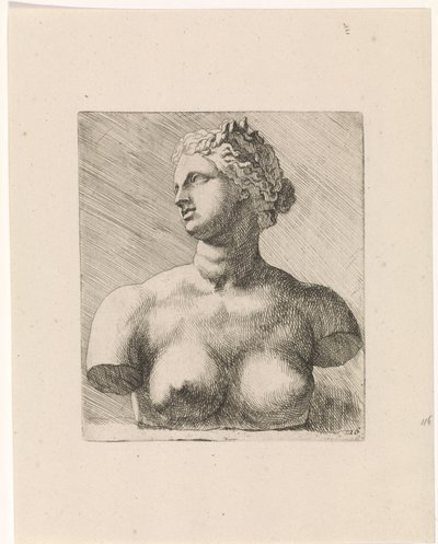 メディチ家のヴィーナスの胸像、左側 アンソニー・ヴァン・ダイクによる古典的な彫刻と人物画の本の研究（シリーズタイトル） 作： Augustinus Terwesten (I)