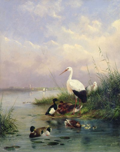 マガモの家族、コウノトリ2羽、ツクシガモの家族（77886のペア） 作： Augustus Knip