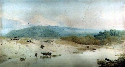 ヨークシャー、川、牛の眺め（図） 作： Augustus Wall Callcott