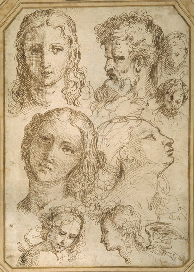 ヘッドスタディ：女性、天使、青年、ひげ面の男性（白紙にペンと茶インク 作： Aurelio (attr. to) Luini