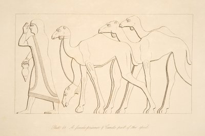 1849年のニネベのモニュメントからの女性囚人とラクダのイラスト 作： Austen Henry Layard