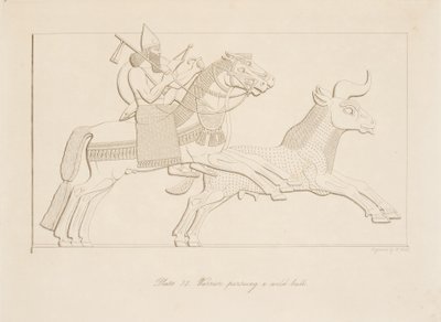 パブ、ニネベのモニュメントから野生の雄牛を追い求める戦士。 1849 作： Austen Henry Layard