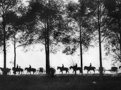 1917年9月25日、イープルロードに沿って進んでいる弾薬が積載されたオーストラリアの大砲の駆逐艦のシルエットのビュー 作： Australian Photographer