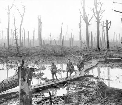 5人のオーストラリア人、フィールド砲兵旅団のメンバー、荒廃したシャトーウッドの戦場の一部である荒れ果てた木の幹の間の泥と水の上のダックボードトラックを通過 作： Australian Photographer
