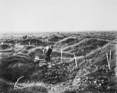 1917年9月16日、ポジェレスの戦場でOG1ラインに沿って散らばったオーストラリアの墓のビュー 作： Australian Photographer