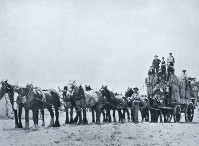ウールキャリングチーム、西オーストラリア、c.1900、「サザンクロスの下-オーストラリアの垣間見る」、外務省、メルボルン、1908年発行 作： Australian Photographer