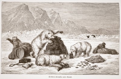 ホッキョクグマが荷物を攻撃する（ホッキョクグマが荷物を攻撃する）パブ。ウィーン1876年 作： Austrian School