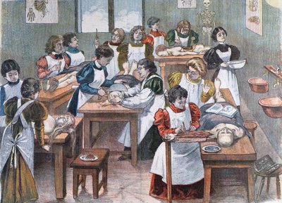 ニューヨークの解剖学研究所の女子学生、1897年 作： Austrian School