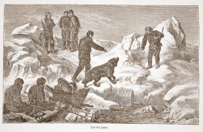 犬との狩猟、1876 作： Austrian School