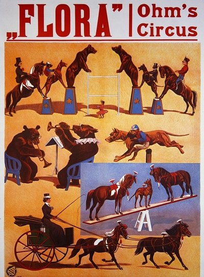 1914年頃、ハンブルグのフローラ劇場で行われた「オームのサーカス」の広告ポスター（カラーリトグラフ版） 作： Austrian School