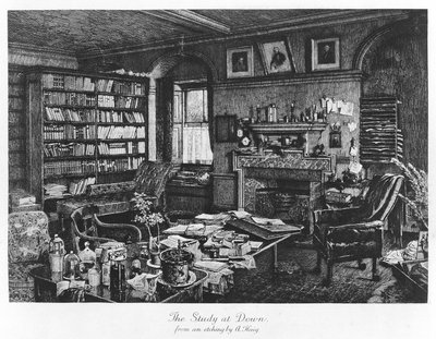 The Study at Down, pub.1882年（彫刻 作： Axel (after) Haig