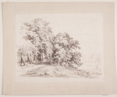 木々や牧草地を通り過ぎるライスフェンスの道 作： Axel Schovelin