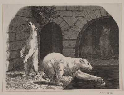 植物園のクマ 作： Axel Theodor Kittendorff