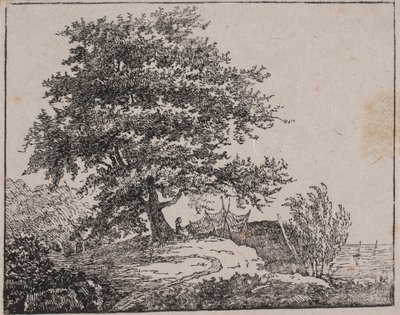 海沿いの崖の上の木 作： Axel Theodor Kittendorff