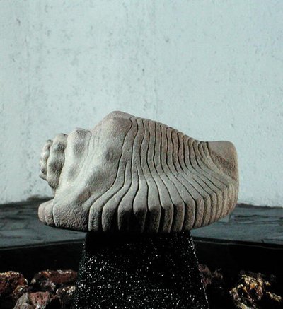 海カタツムリの殻、1500年頃（198376および207560も参照） 作： Aztec