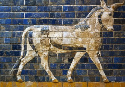 雄牛。ネブカドネザル2世（前604-前562）の時代にバビロンのイシュタル門への行列道を飾っていた、神話上の動物を描いた釉薬のかかった煉瓦タイルの細部。バビロニア文明、前7〜6世紀。 作： Babylonian