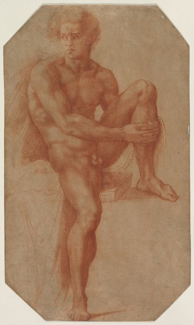 座っている男性ヌード、c。 1516-1520。 作： Baccio Bandinelli